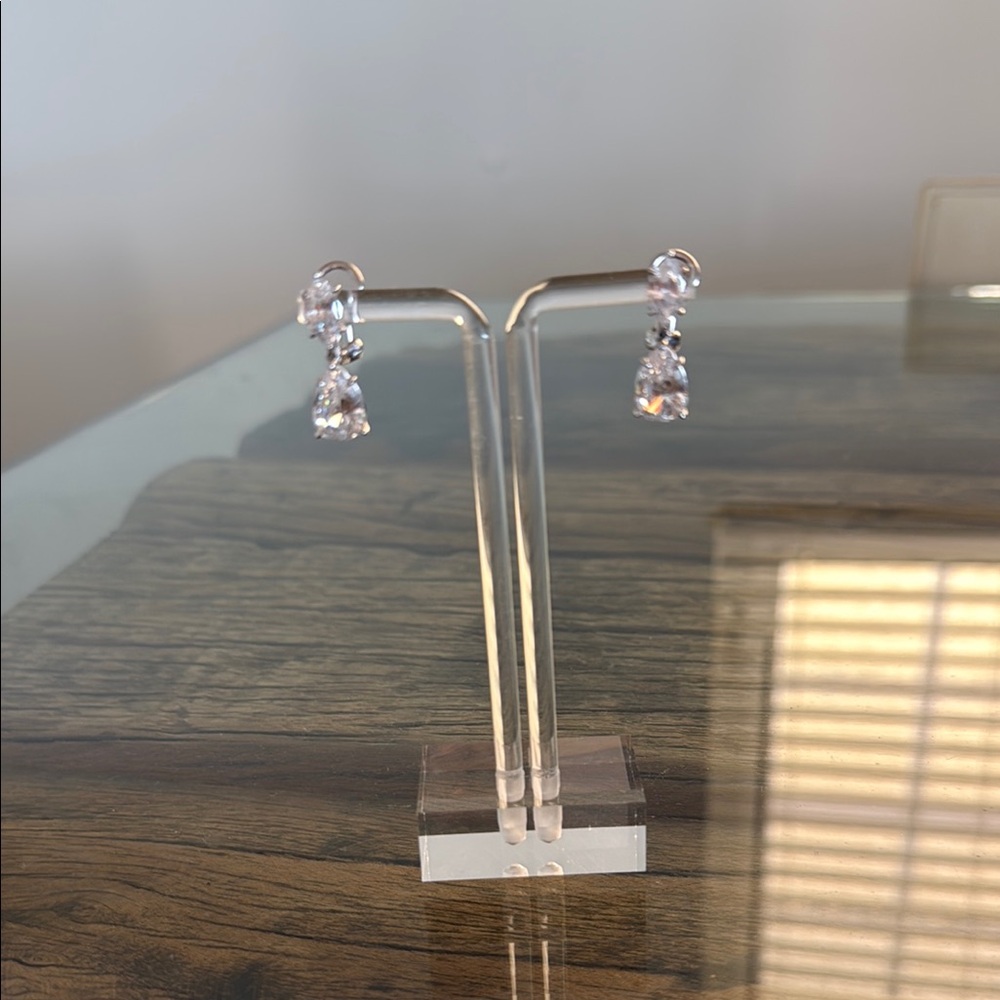 Elegant Silver Drop Earrings